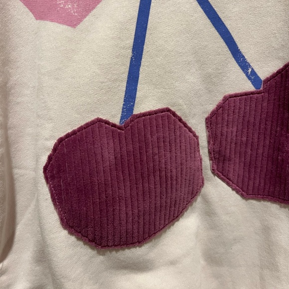 NWOT Zara Pink Cherry Sweatshirt - Picture 5 of 5